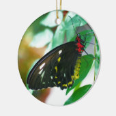 Black Butterfly Nature Ornament (Links)