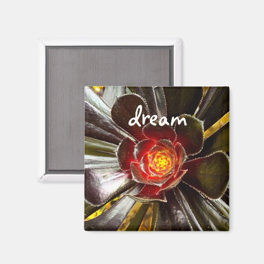 Black Cactus Foto Dream Quote Script Modern Bold Magnet (Vorderseite/Rückseite)