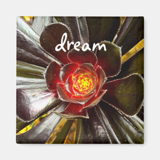 Black Cactus Foto Dream Quote Script Modern Bold Magnet (Vorne)