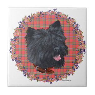 Black Cairn Head Studie Fliese