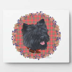 Black Cairn Head Studie Fotoplatte