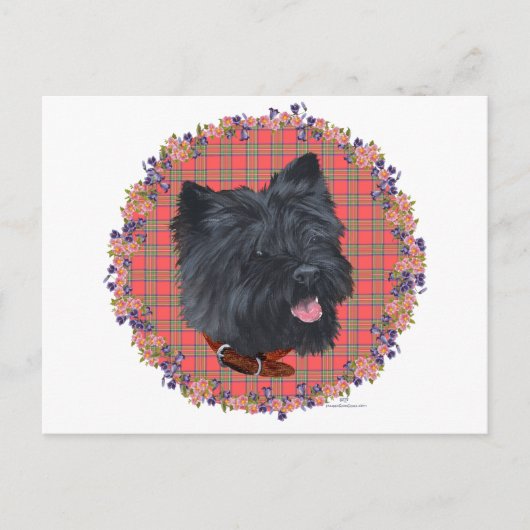 Black Cairn Head Studie Postkarte (Vorderseite)