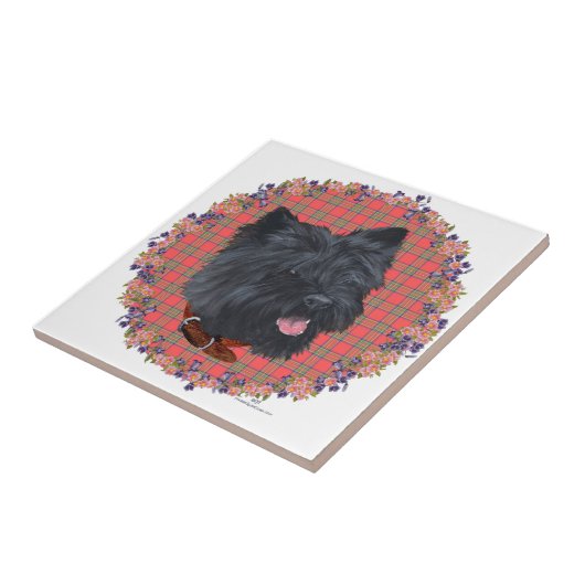 Black Cairn Head Study Fliese (Seite)