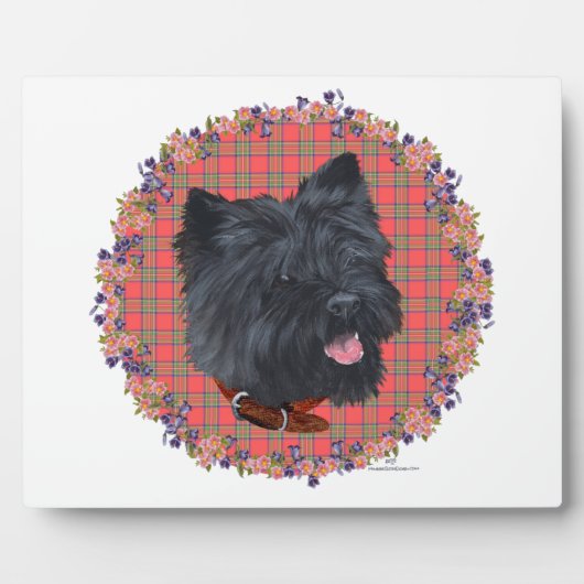 Black Cairn Head Study Fotoplatte (Vorderseite)