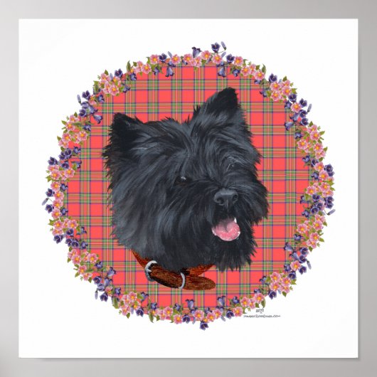 Black Cairn Head Study Poster (Vorne)