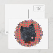 Black Cairn Head Study Postkarte (Vorne/Hinten)