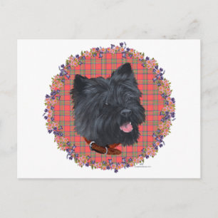 Black Cairn Head Study Postkarte