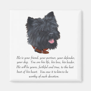 Black Cairn Terrier Andenken - Männlich Magnet