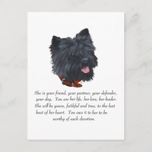 Black Cairn Terrier Andenken - Weiblich Postkarte