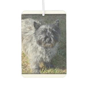 Black Cairn Terrier Autolufterfrischer