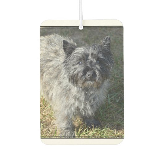 Black Cairn Terrier Autolufterfrischer (Vorderseite)