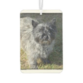 Black Cairn Terrier Autolufterfrischer (Rückseite)