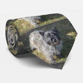 Black Cairn Terrier Krawatte (Gerollt)