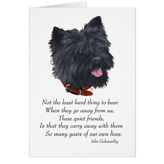Black Cairn Terrier Rainbow Bridge (Vorne)