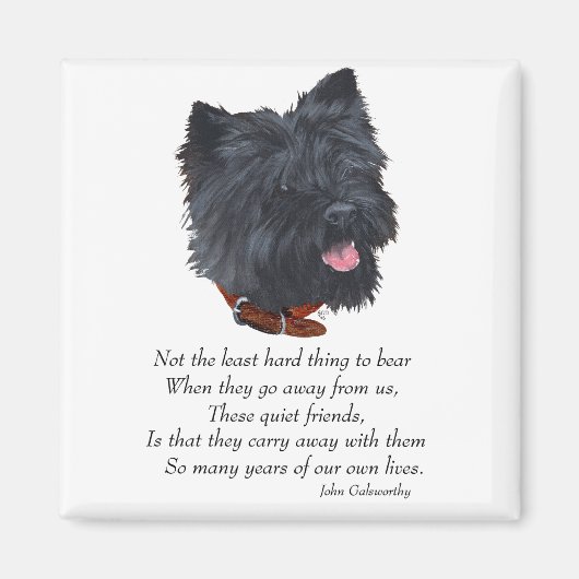 Black Cairn Terrier Rainbow Bridge Magnet (Vorne)