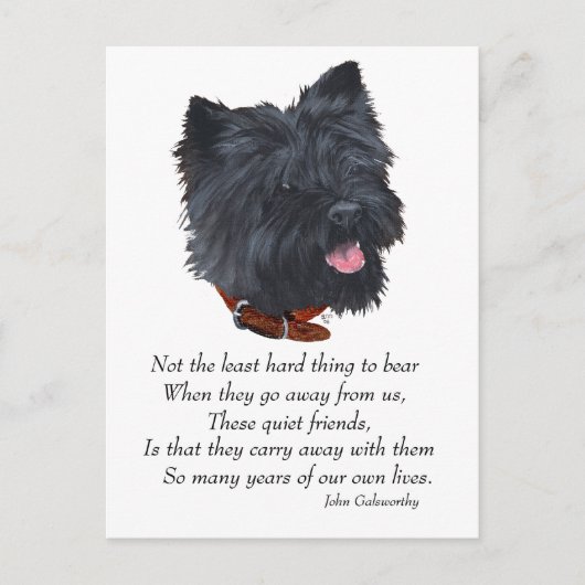 Black Cairn Terrier Rainbow Bridge Postkarte (Vorderseite)
