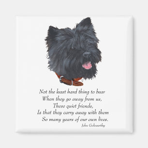 Black Cairn Terrier Regenbogenbrücke Magnet