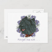 Black Cairn Terrier Vergiss-me-not Postkarte (Vorne/Hinten)