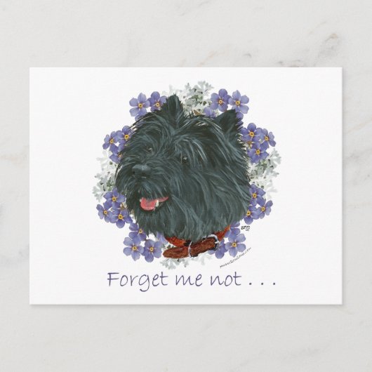 Black Cairn Terrier Vergiss-me-not Postkarte (Vorderseite)