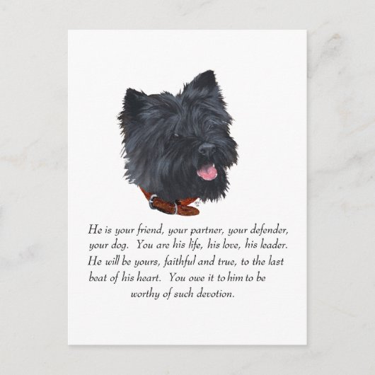 Black Cairn Terrner Keepake - Männlich Postkarte (Vorderseite)