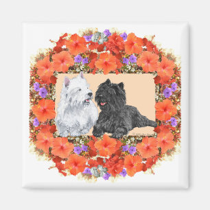 Black Cairn und Westie Terrier in Flora Magnet