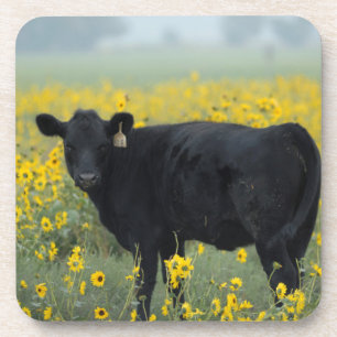 Black Calf in a Field of Sunflowers Getränkeuntersetzer