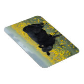 Black Calf in a Field of Sunflowers Magnet (Rechte Seite)