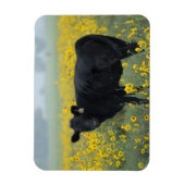 Black Calf in a Field of Sunflowers Magnet (Vertikal)
