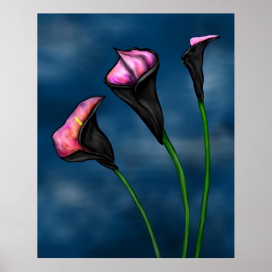 Black Calla Lilies Pink Center Poster (Vorne)