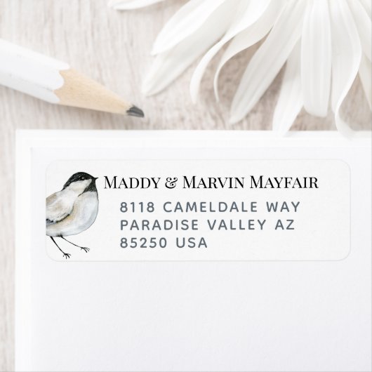 Black Cap Chickadee Bird Rücksendeadresse (Insitu)