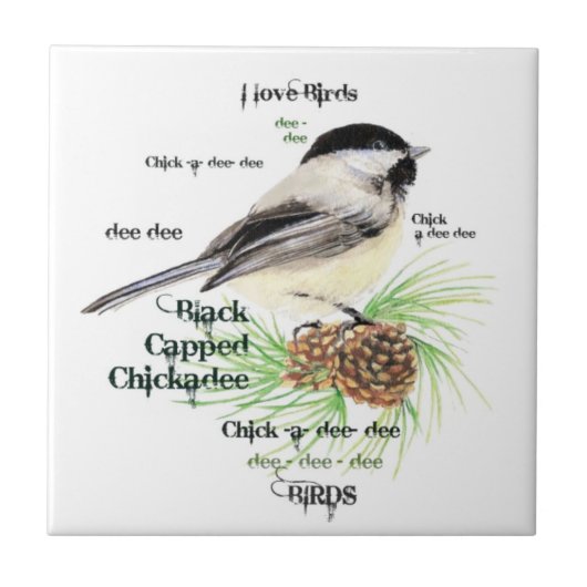 Black Capped Chickadee Bird Art Fliese (Vorderseite)