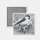 Black Capped Chickadee Bird Square Magnet (Vorderseite/Rückseite)