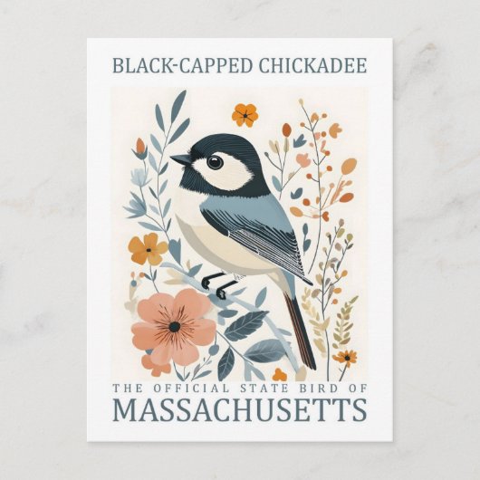 Black Capped Chickadee Bird von Massachusetts USA Postkarte (Vorderseite)