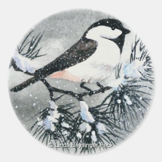 Black Capped Chickadee Bird Winter Runder Aufkleber (Vorderseite)