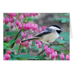 Black Capped Chickadee Grußkarte