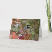 Black-capped Chickadee Karte (Vorderseite)