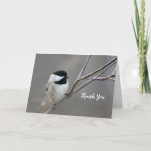Black Capped Chickadee Photo Dankeskarte