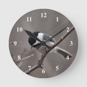Black Capped Chickadee Runde Wanduhr