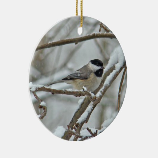 Black Capped Chickadee Weihnachtsschmuck (Rechts)
