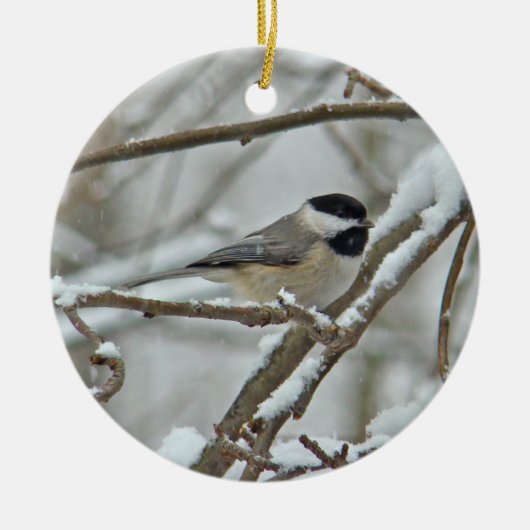 Black Capped Chickadee Weihnachtsschmuck (Vorne)