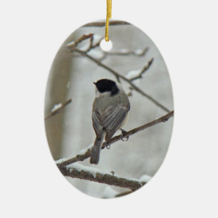 Black Capped Chickadee Weihnachtsschmuck
