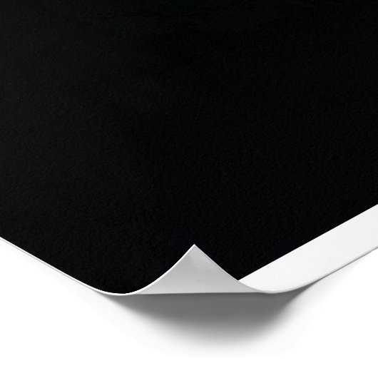 Black Cat And Her Three Kittens Poster (Ecke)