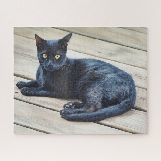 Black Cat Art Big Puzzle (Horizontal)