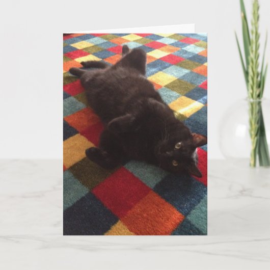Black Cat auf Rug Birthday Card Karte (Vorderseite)