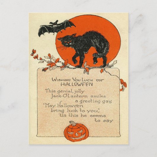 Black Cat Bat Vollmond Postkarte (Vorderseite)