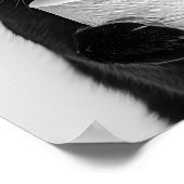 Black Cat Bathroom Print, Cat Holding Toilet Roll, Poster (Ecke)