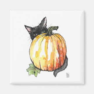 Black Cat Behind Pumpkin Magnet