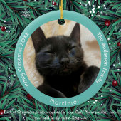 Black Cat besucht Santa Funny Custom Foto Keramik Ornament