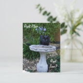 Black Cat Birdbath Postcard Postkarte (Stehend Vorderseite)