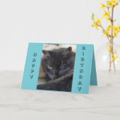 Black Cat Birthday Card Karte (Gelbe Blume)